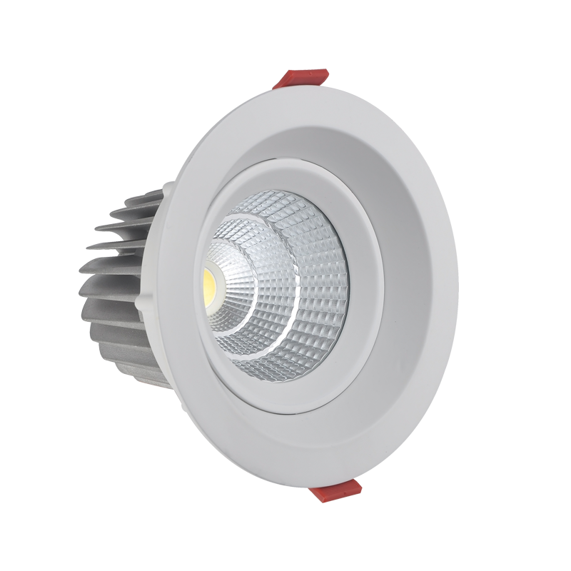 Dimmable Led Downlight