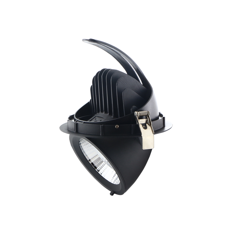 Energy-Efficient Living Room Downlights with Citizen COB Chips Energy-Efficient Living Room Downlights with Citizen COB Chips