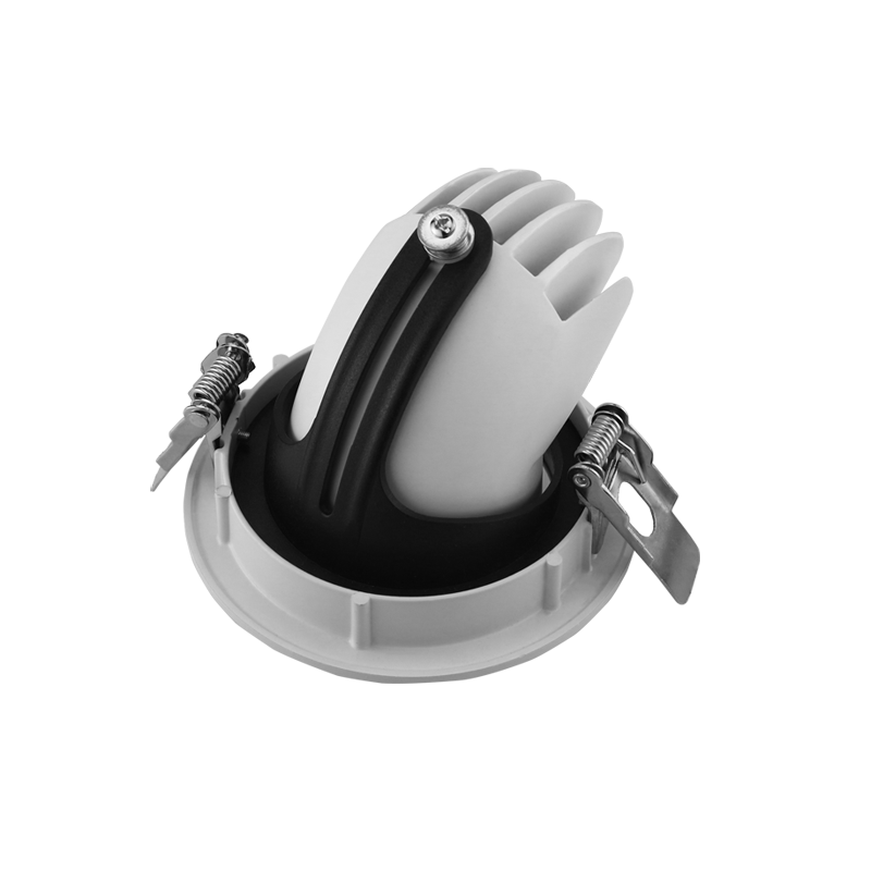 Energy-Efficient Living Room Downlights with Citizen COB Chips Energy-Efficient Living Room Downlights with Citizen COB Chips