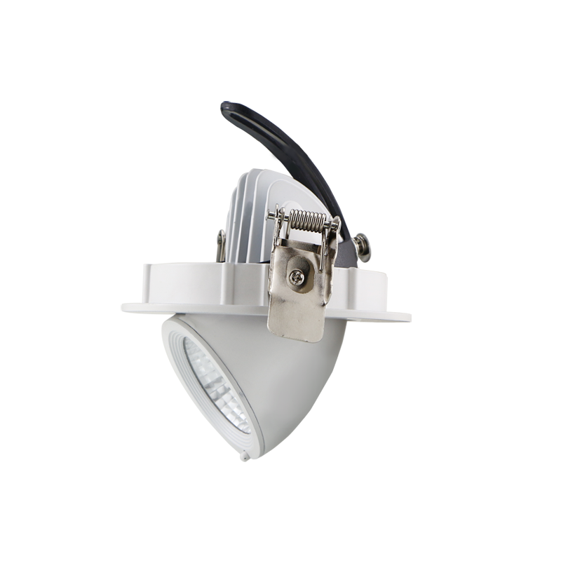 Citizen COB LED Downlight 5-Year Warranty and Technical Guide Citizen COB LED Downlight 5-Year Warranty and Technical Guide