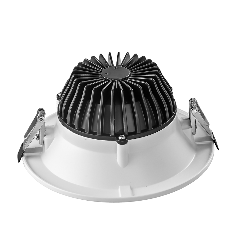 Top 5 Shenzhen Hotel Downlight OEM Manufacturers in 2026