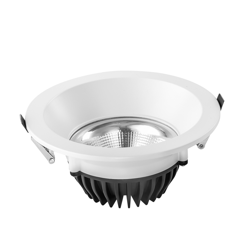 Top 5 Shenzhen Hotel Downlight OEM Manufacturers in 2026