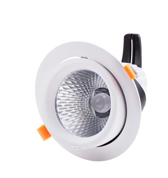 Top 8 Clothing Store Downlight Manufacturers for Middle East Top 8 Clothing Store Downlight Manufacturers for Middle East