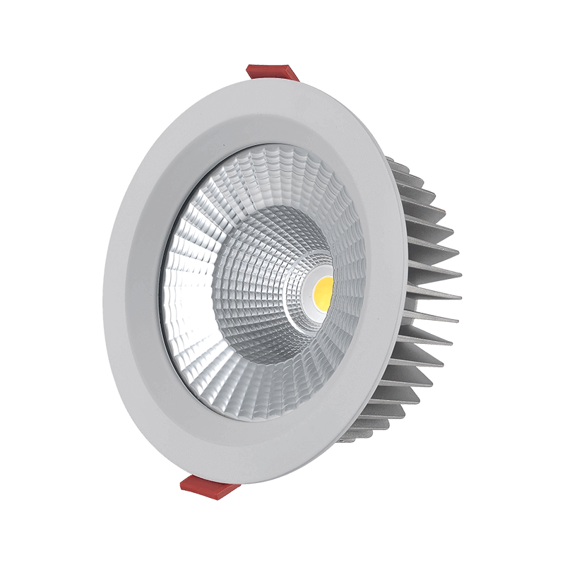 LED Downlight DTU-R Series IP65