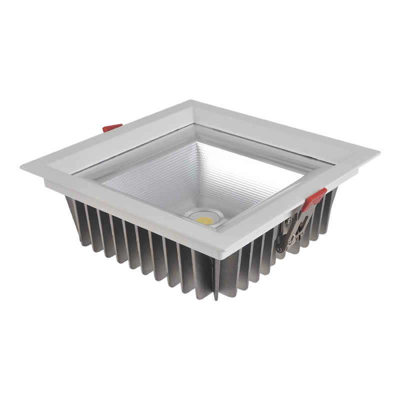 LED DOWNLIGHT DTU-S SERIES IP65