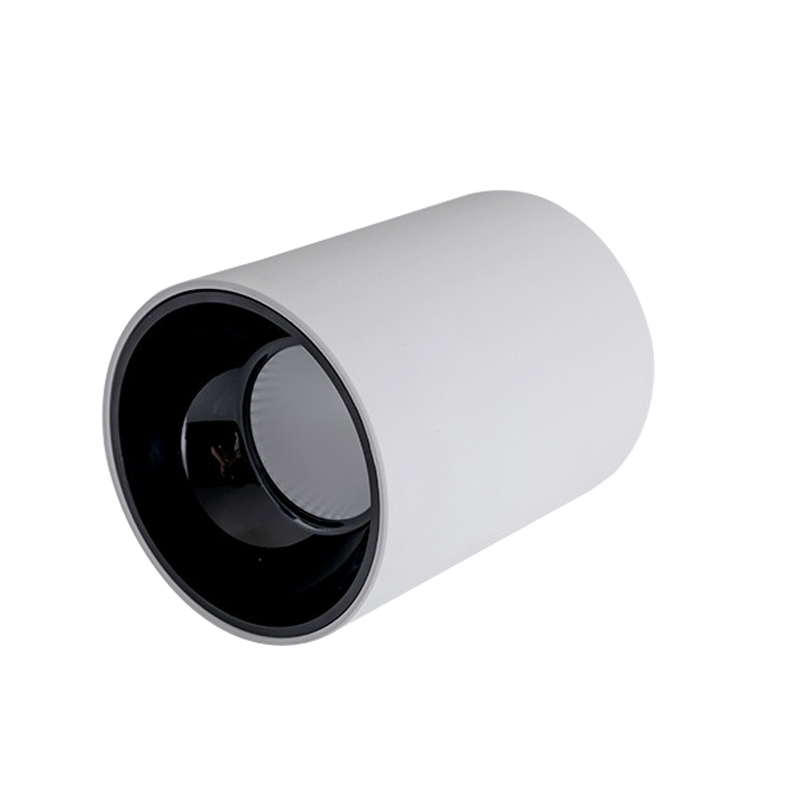LED Surface Mounted Downlight SMA Series