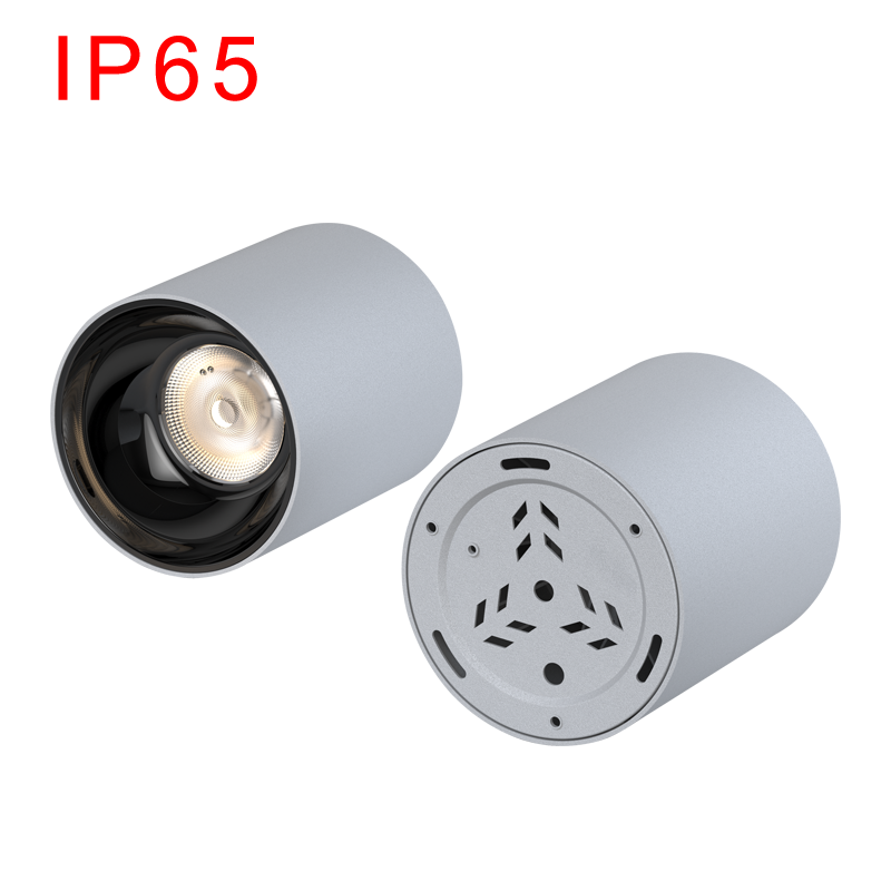 IP65 LED Surface Mounted Downlight SMD Series