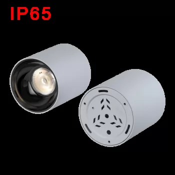 IP65 LED Surface Mounted Downlight SMD Series