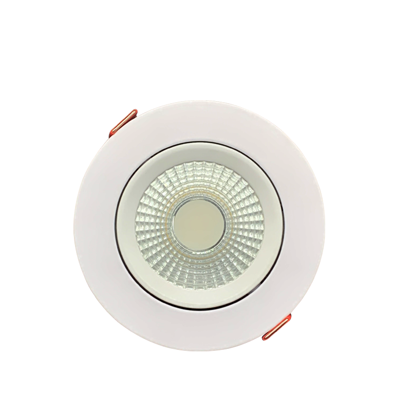 Adjustable LED Downlight DTV Series