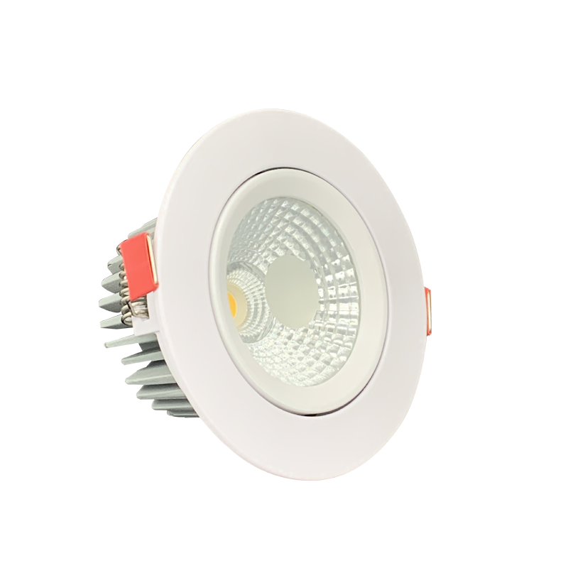 Adjustable LED Downlight DTV Series