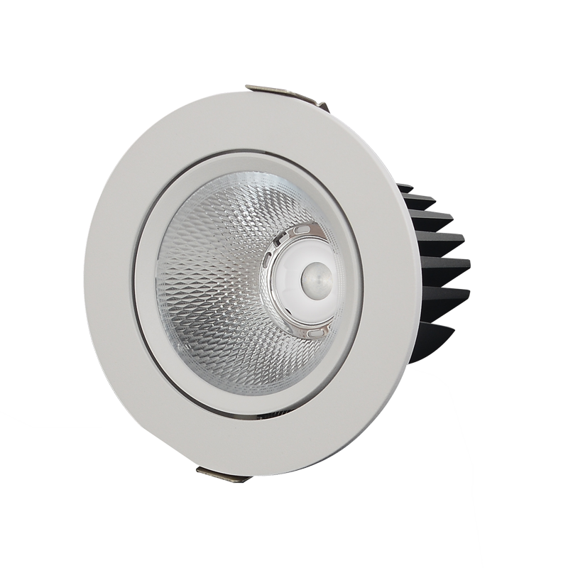 LED Downlight DTL Series