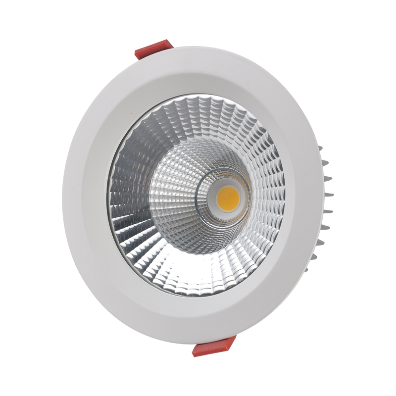 LED Downlight DTU-R Series IP65