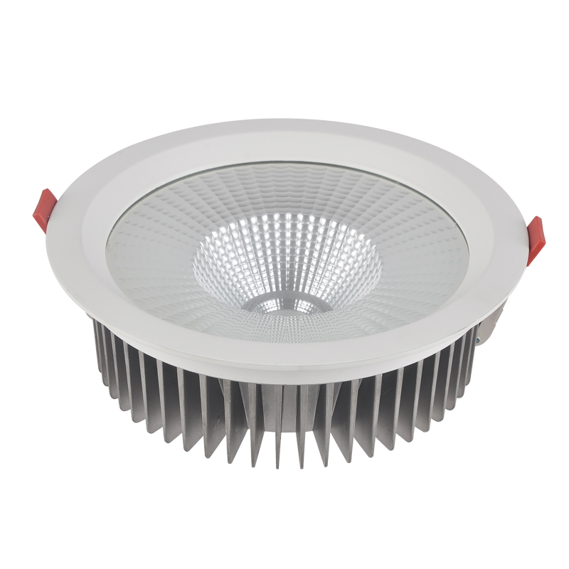 LED Downlight DTU-R Series IP65