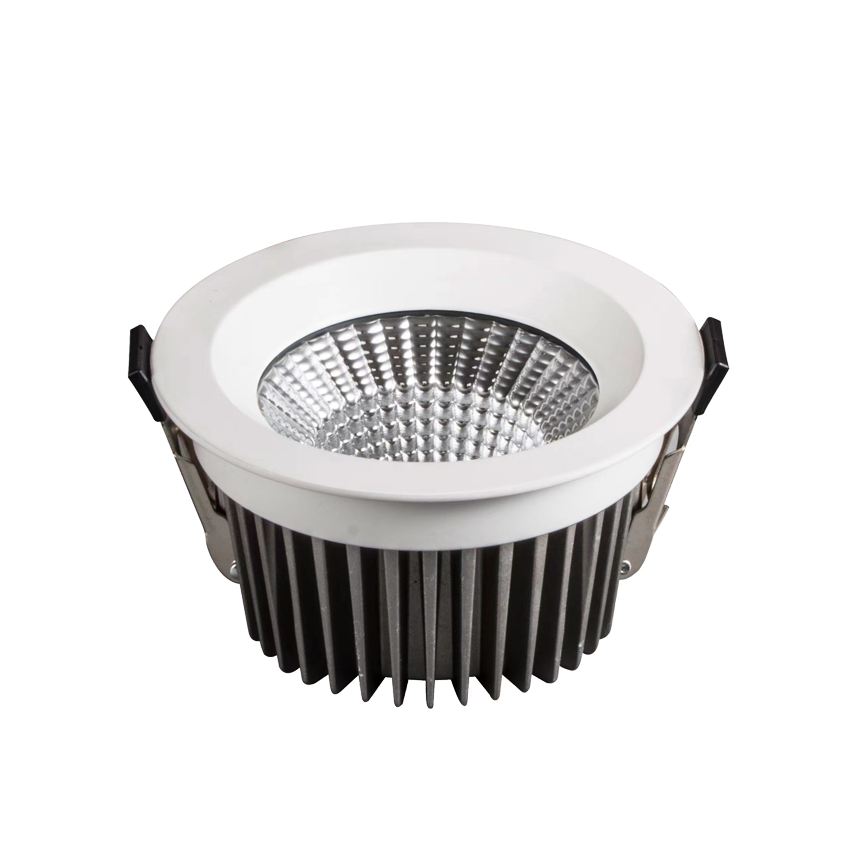 LED Downlight DTU-R Series IP65