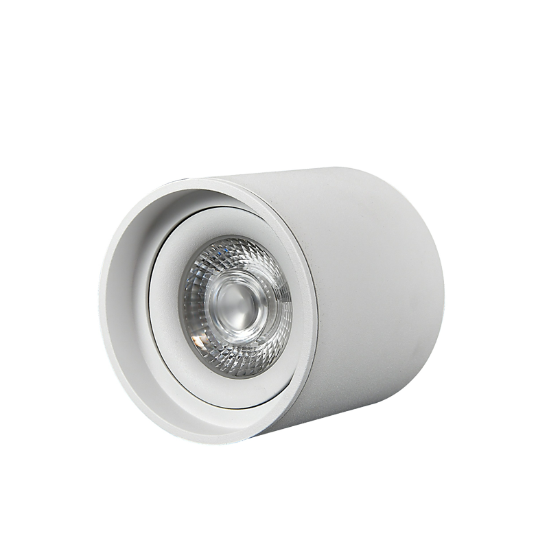LED Surface Mounted Downlight SMP Series-Gimbal