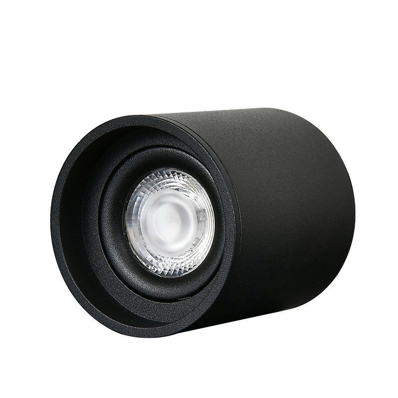 LED Surface Mounted Downlight SMP Series-Gimbal