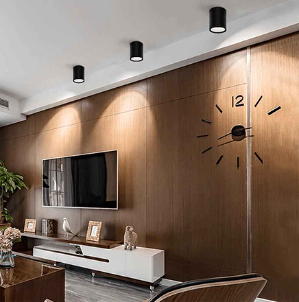 LED Surface Mounted Downlight SMS Series