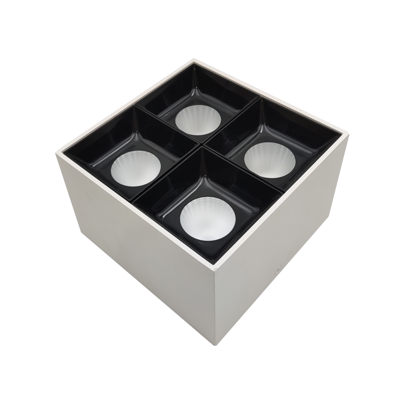 LED Surface Mounted Downlight SMS Series