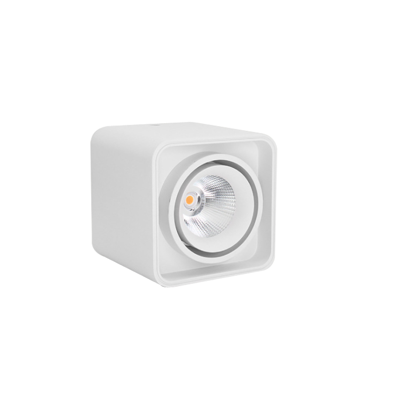 LED Surface Mounted Downlight SMT Series-Single head