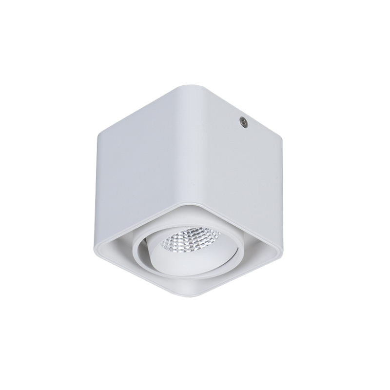 LED Surface Mounted Downlight SMT Series-Single head