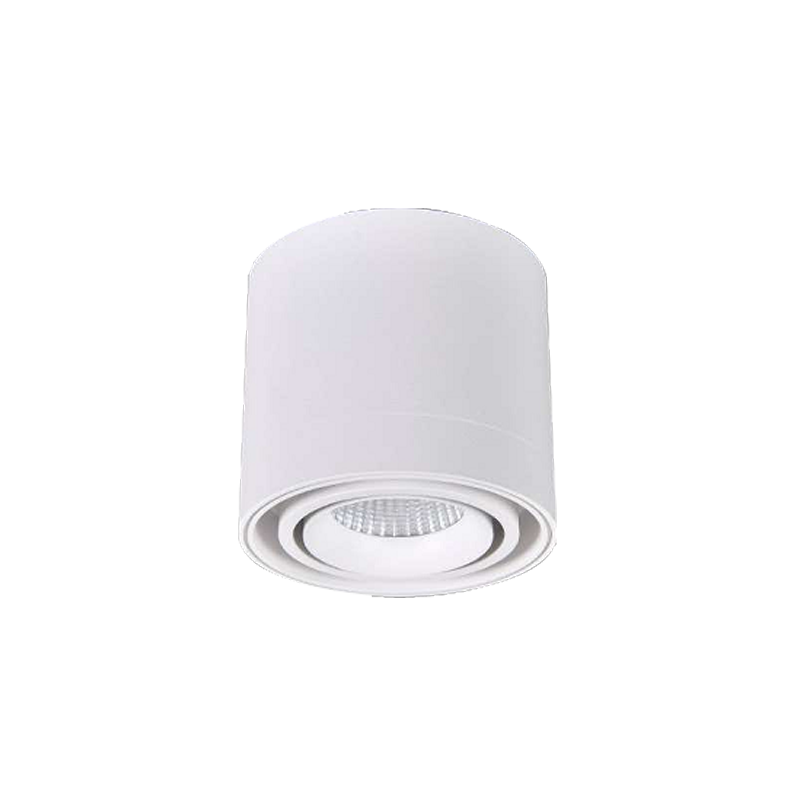 LED Surface Mounted Downlight SMT Series-Single head