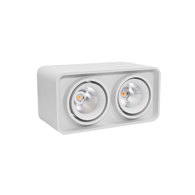 LED Surface Mounted Downlight SMT Series