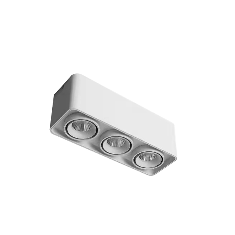 LED Surface Mounted Downlight SMT Series