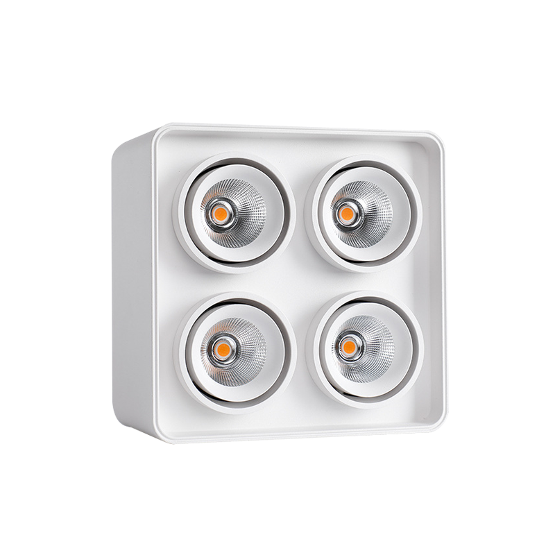 LED Surface Mounted Downlight SMT Series