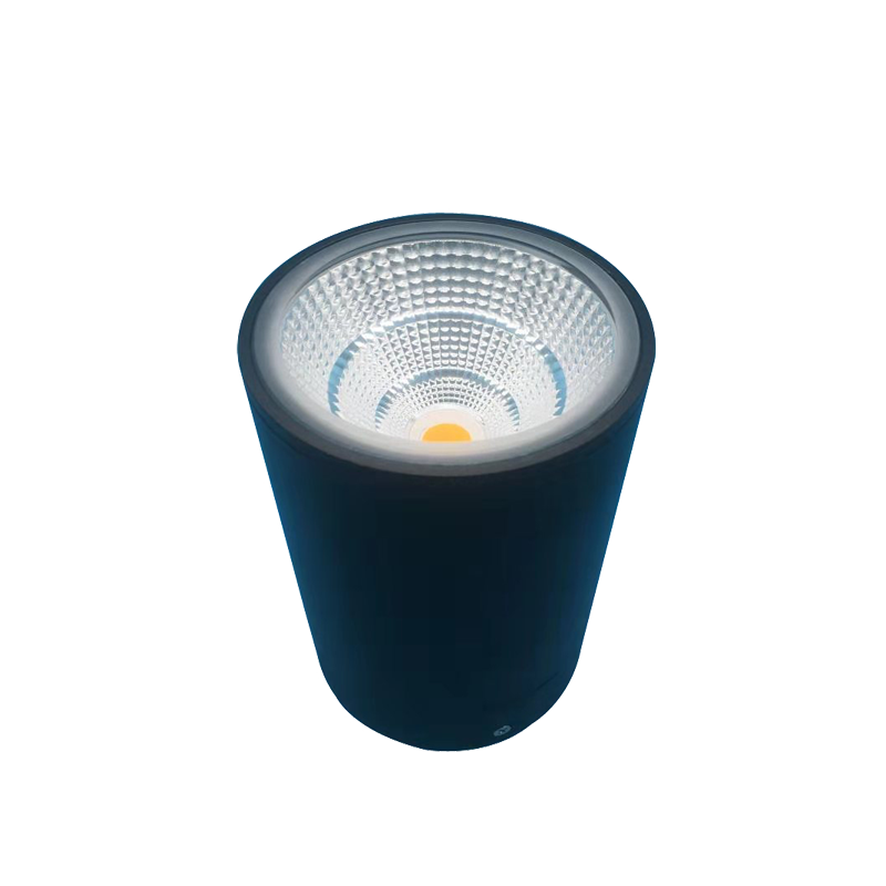 IP65 LED Surface Mounted Downlight SMW Series