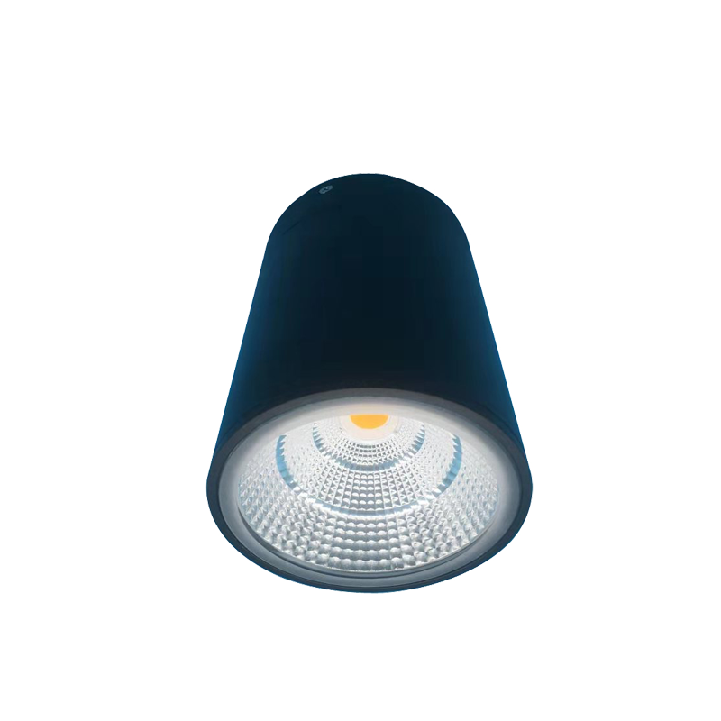 IP65 LED Surface Mounted Downlight SMW Series