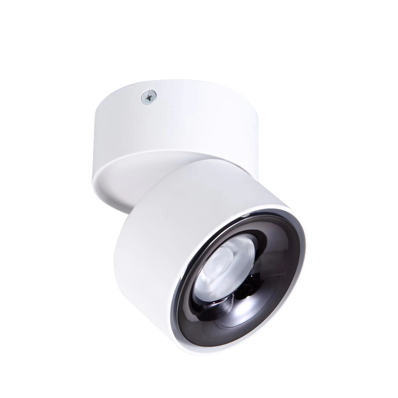 LED Surface Mounted Downlight SMY Series-Single head