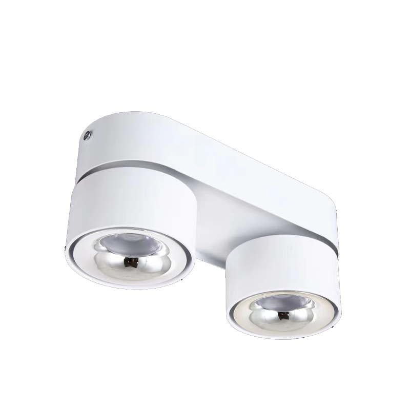 LED Surface Mounted Downlight SMY Series