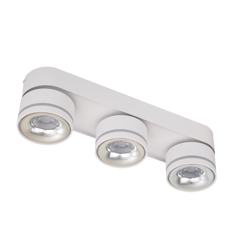 LED Surface Mounted Downlight SMY Series