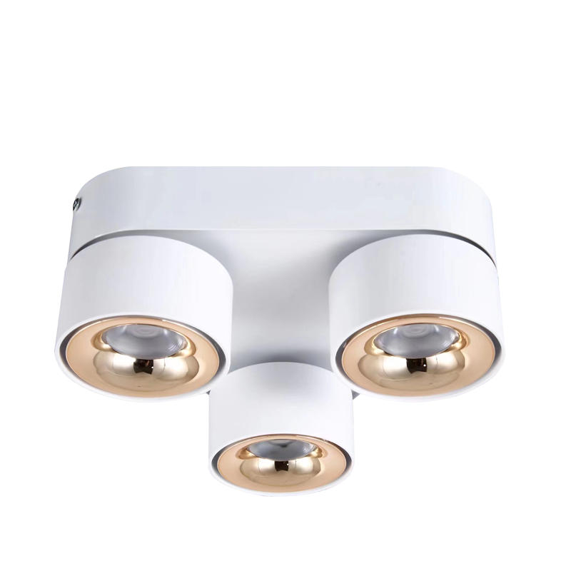 LED Surface Mounted Downlight SMY Series