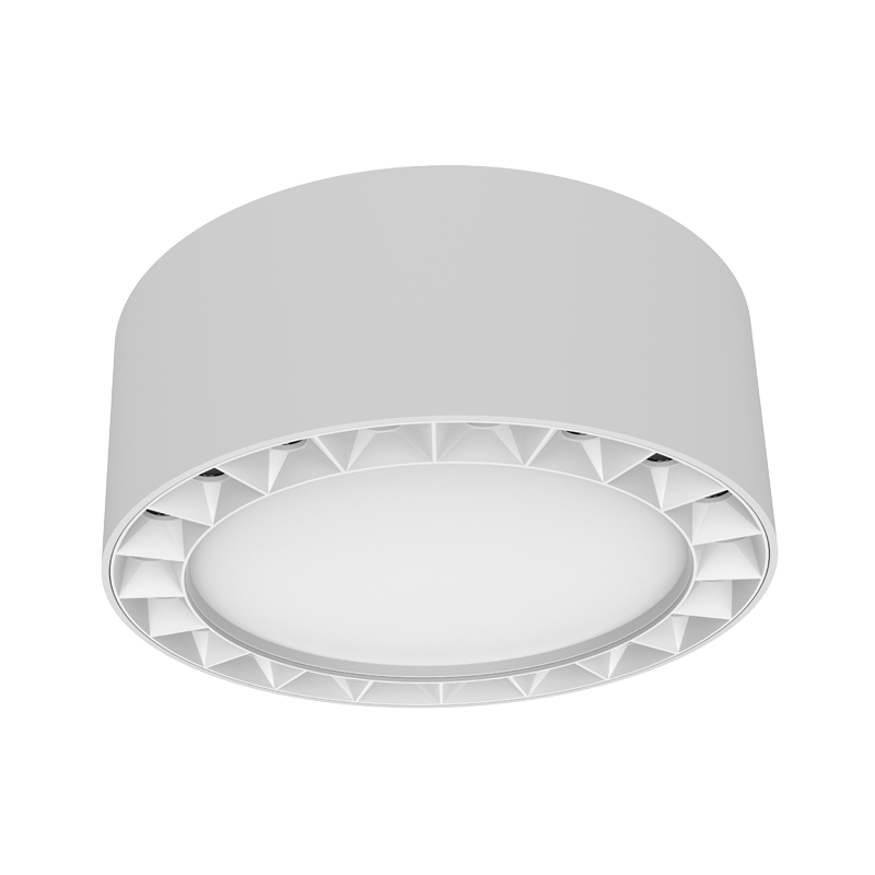LED Surface Mounted Downlight SMZ Series