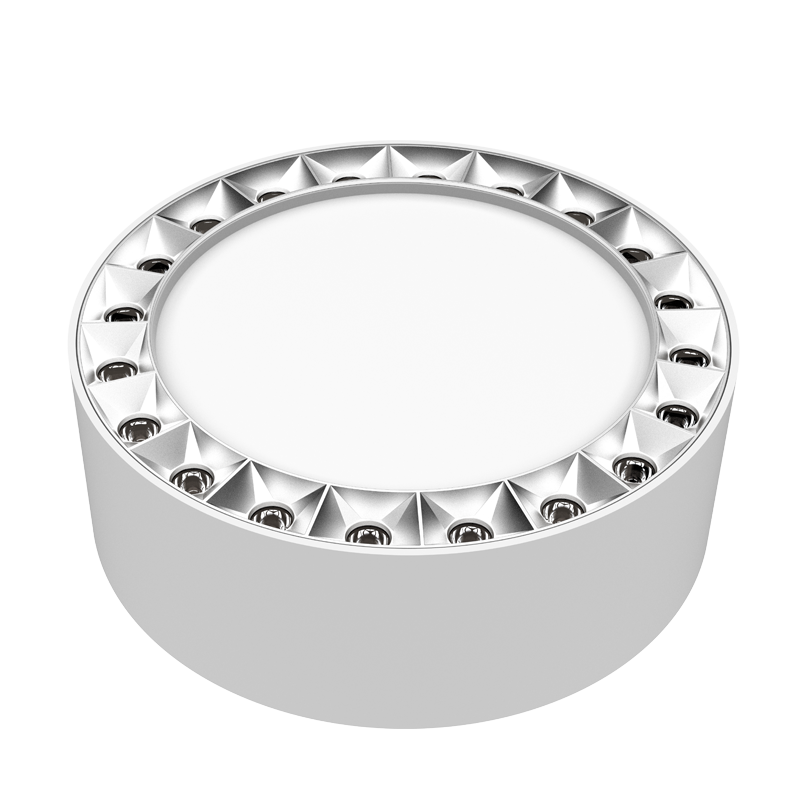 LED Surface Mounted Downlight SMZ Series