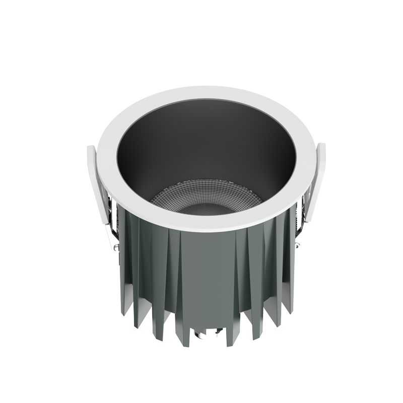 IP65 LED Downlight DLY-R Series