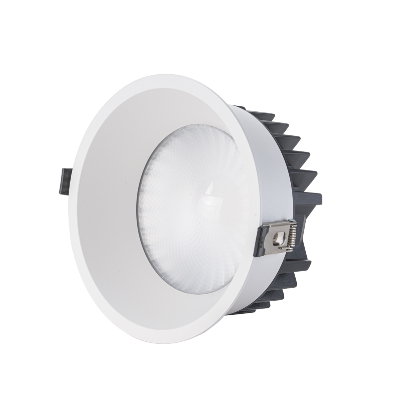 IP65 LED Downlight DLF-SMD Series