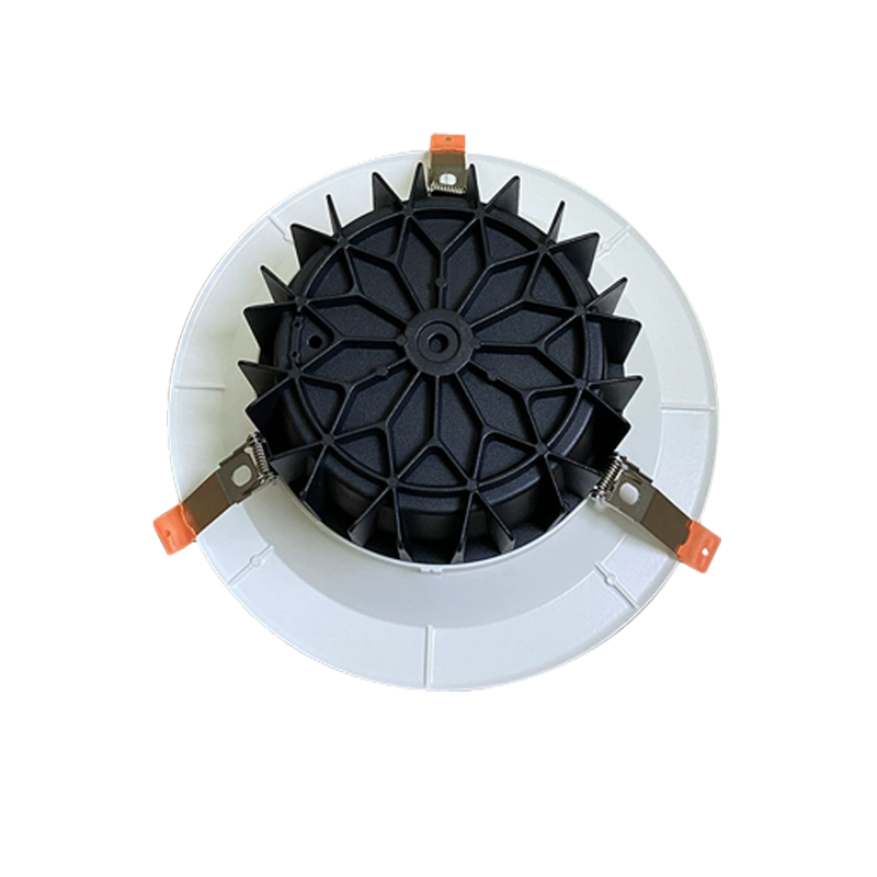 LED DLW Series Downlight